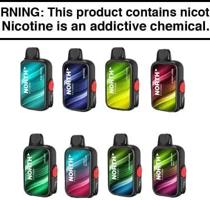 NORTH FT12000 DISPOSABLE VAPE – 12,000 PUFFS