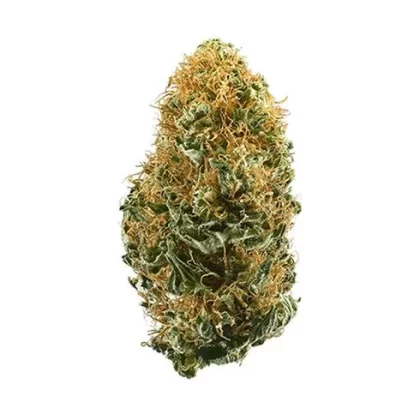 WHITE WIDOW