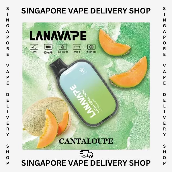 Lana Opal 8000 Puffs - Strawberry Watermelon - Image 2