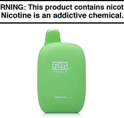 FLUM PEBBLE 6000 PUFF DISPOSABLE VAPE