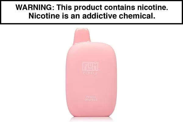 FLUM PEBBLE 6000 PUFF DISPOSABLE VAPE - Image 2