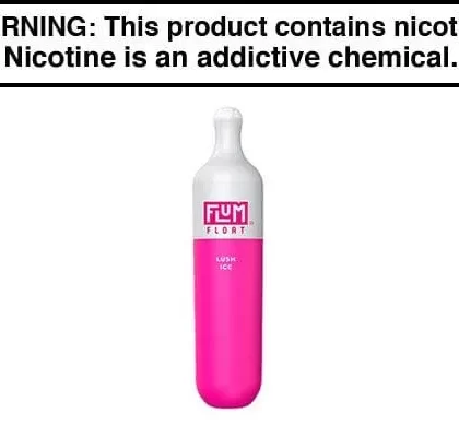 FLUM FLOAT DISPOSABLE VAPE 8ML 3000 PUFFS