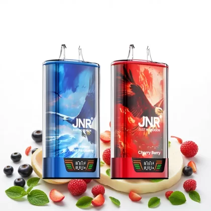 JNR Falcon Pro 28000 Puffs Disposable Vape