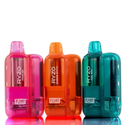 Float Ryzo 60K Disposable Vape Kit - Blueberry Watermelon