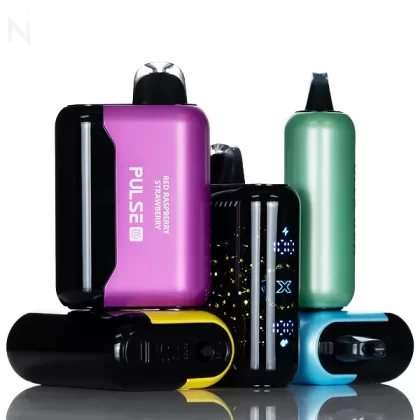 Geek USA Pulse D 40K Puffs Disposable Vape - Miami Mint