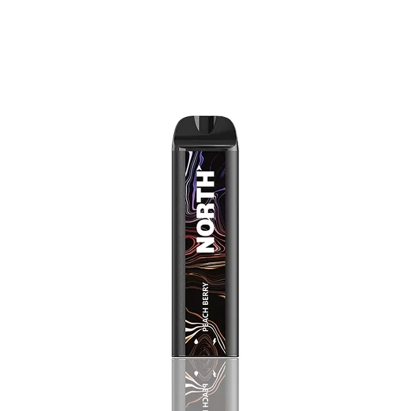 North 5K 5000 Puffs Disposable Zero Nic - Blue Slurpie - Image 3