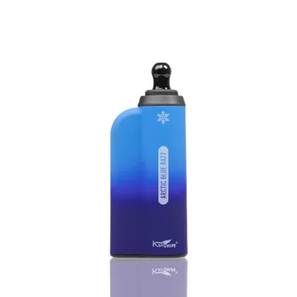 Kangvape Onee Max 6500 Puffs Disposable 10-Pack - Chewy Gummy Freeze