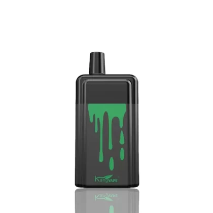 Kangvape Onee Stick 5200 Puffs Disposable 10-Pack - Chewy Gum Freeze