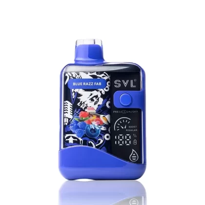 SVL BX12000 12K Puffs Disposable - 18mL - Chill Mint