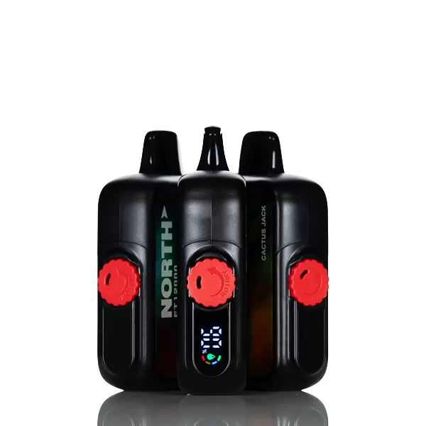 North FT12K 12000 Puffs Disposable Vape - Strawberry Watermelon