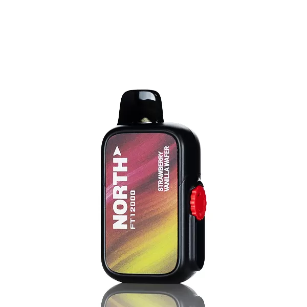 North FT12K 12000 Puffs Disposable Vape - Mango Dragon Fruit - Image 3