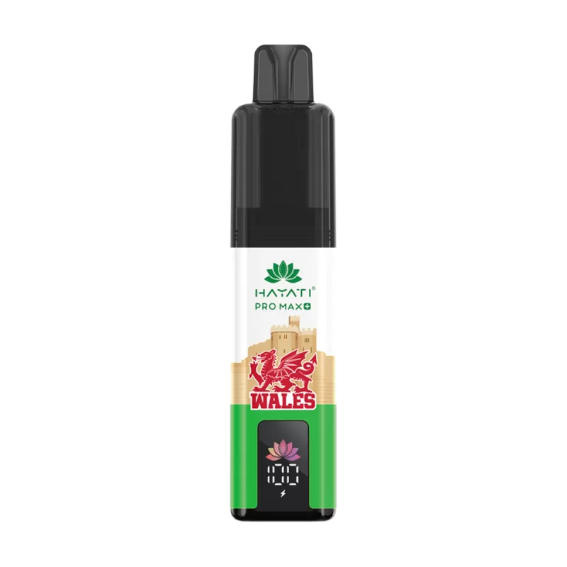 Hayati Pro Max Plus 6000 Wales Souvenir Edition - Blueberry Raspberry - Image 3