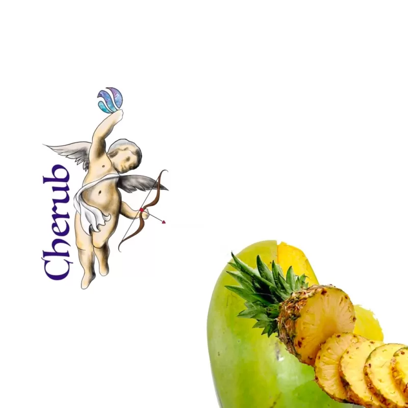 Pineapple Mango Cherub E-Liquid Juice – 10ml Bottle