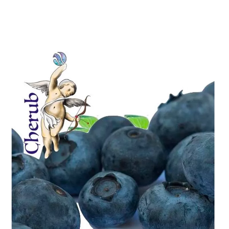 Blueberry Menthol TPD Cherub E-Liquid