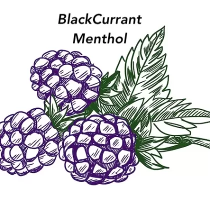 Black Ice Vapour Days E-Liquid Juice