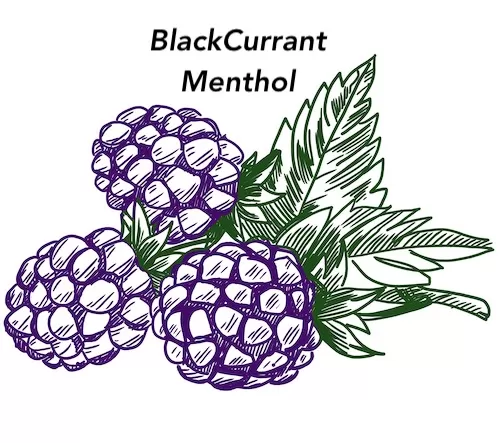 Black Ice Vapour Days E-Liquid Juice