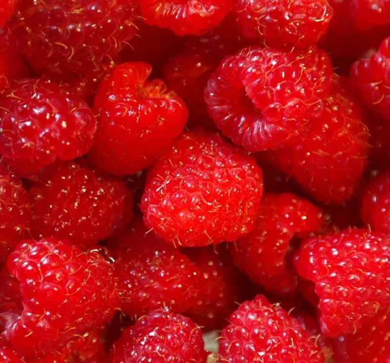 Raspberry Vapour Days Flavour E-Liquid