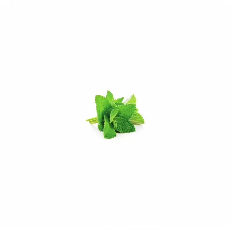 Spearmint FW Natural Flavoring