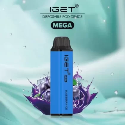 IGET Mega Blueberry Ice (3000 Puffs)
