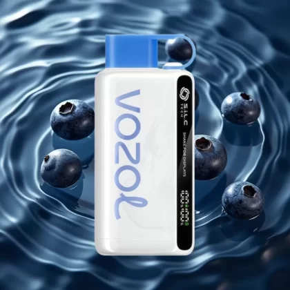 VOZOL STAR 9000/12000 Disposable Vape Blueberry Storm – 650mAh, 30% Faster Charge, Recycled Plastic