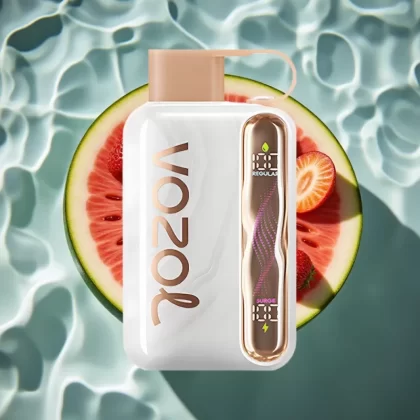 VOZOL STAR 40000 Puffs Strawberry Watermelon Disposable Vape – 1000mAh, Type-C, 20/50mg/ml