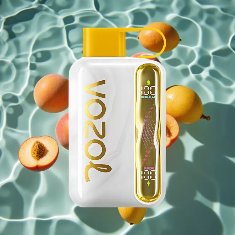 VOZOL STAR 40000 Puffs Disposable Vape Mango Peach – 1000mAh Type-C 20/50mg/ml