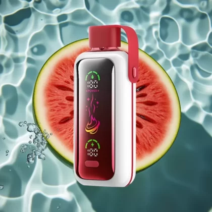 VOZOL Star 20000 Puffs Watermelon Ice Disposable Vape with 2.2″ HD Screen & Dual Mesh