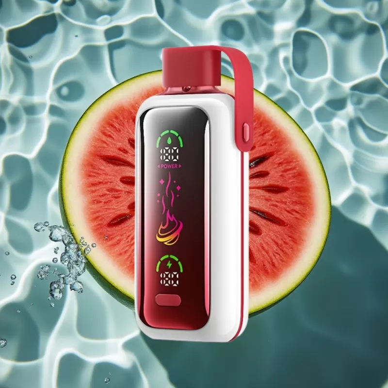 VOZOL Star 20000 Puffs Watermelon Ice Disposable Vape with 2.2″ HD Screen & Dual Mesh