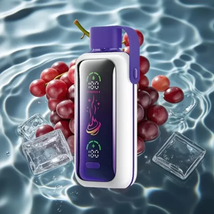 VOZOL Star 20000 Puffs Grape Ice Disposable Vape with 2.2″ HD Screen & Dual Mesh