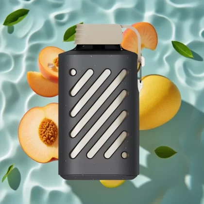 VOZOL GEAR 10000 Disposable Vape Peach Mango Smoothie – 10000 Puffs, 20ml E-liquid, VAMT Mesh Coil