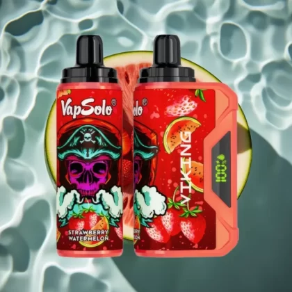 VapSolo VIKING 12000 Puffs Strawberry Watermelon Disposable Vape with Type-C & LED Display