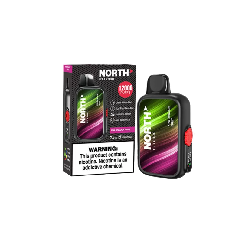 North FT12000 Disposable *** - Cool Mint - Image 2