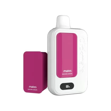 7 Daze Clickmate 15K Puff Disposable KIT (5% Nicotine) - 15,000 Puffs - Sour Apple Belts