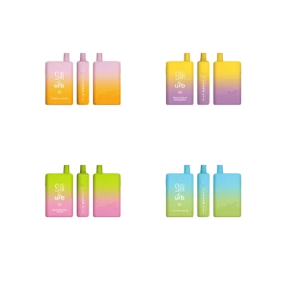Sili X Disposable | 6000 Puffs | 16mL *** - Cactus Chiller