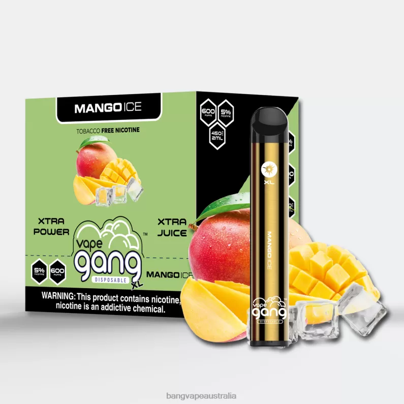 Vape Gang XL Disposable Vapes 600 puffs (Box of 10) 6006N68 Mango Ice – Vape Gang Shop
