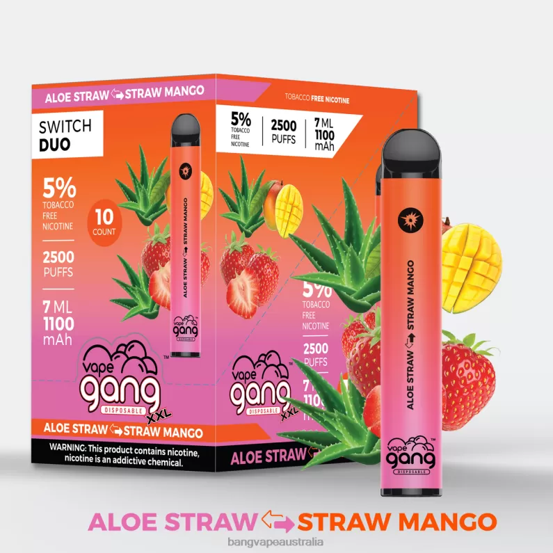 Vape Gang Switch Duo 2 flavors (Box of 10) 6006N45 Strawberry Apple Watermelon – Strawberry Kiwi – Vape Gang Melbourne - Image 2