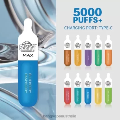 Bang Vape Max 5000 Puff Bar 6006N10 Disposable – Gang Vape Price