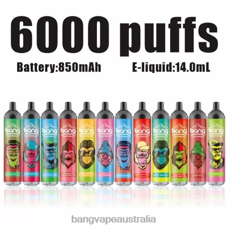 Bang Vape King 6000 puffs 5% Nic Rechargeable Type-C 6006N8 Disposable – Bang Vape Puffs