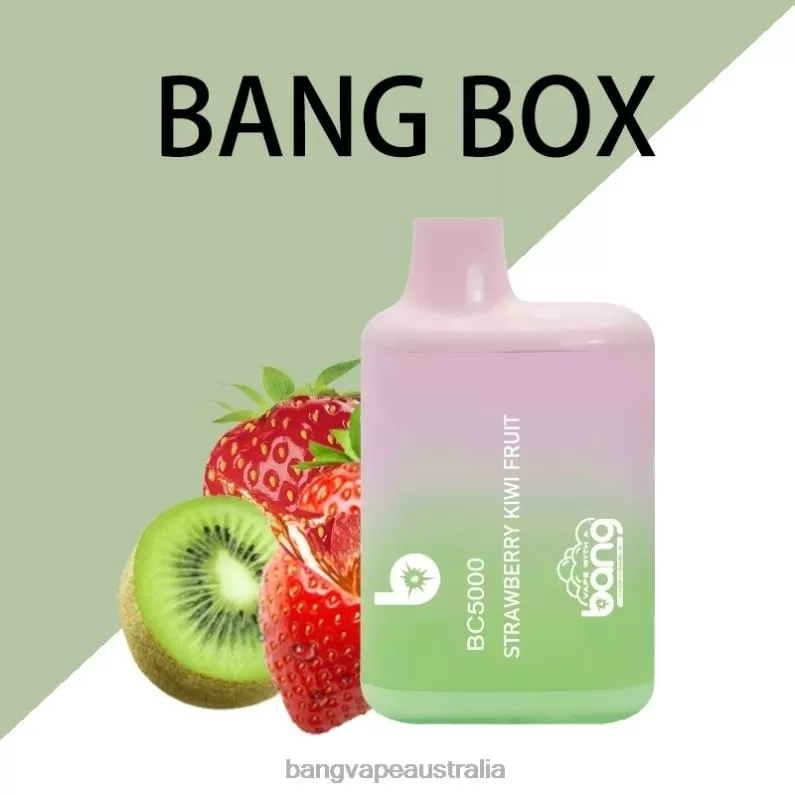 Bang Vape Box BC5000 5% Nic 5000 puffs Pen Type-C Rechargeable 6006N9 Disposable – Bang Vape Price