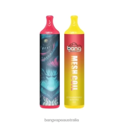 Bang Vape Mesh Coil 3500 puffs 2% Nic 6006N7 Disposable – Vape Gang Flavors