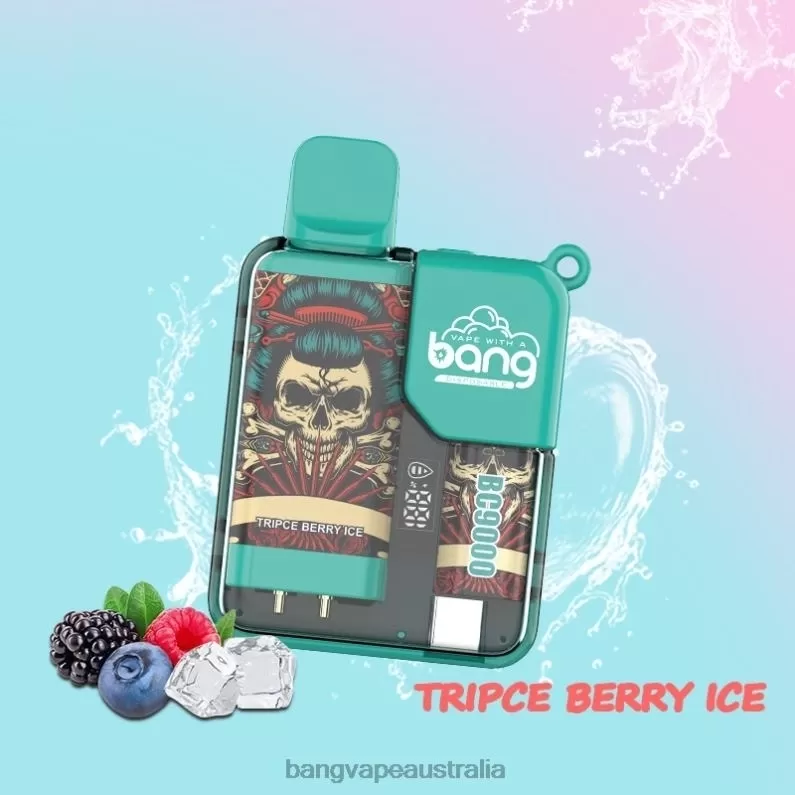 Bang Vape Box BC9000 Prefilled 16ml 6006N6 Disposable – Vape Gang Shop - Image 2