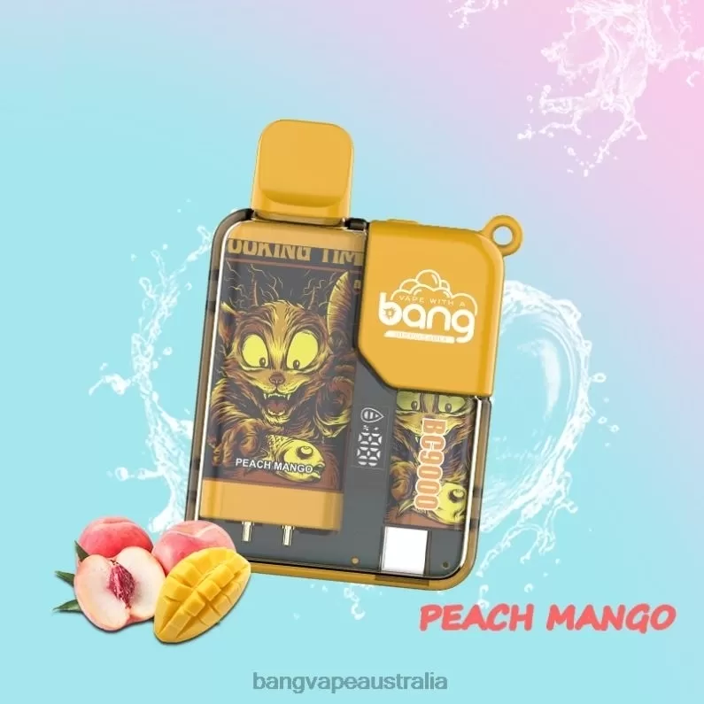 Bang Vape Box BC9000 Prefilled 16ml 6006N6 Disposable – Vape Gang Shop - Image 3