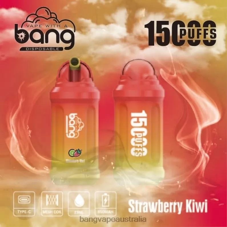 Bang Vape 15000 puffs 6006N1 Disposable – Vape Gang Australia