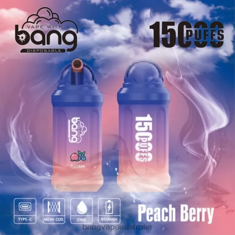 Bang Vape 15000 puffs 6006N1 Disposable – Vape Gang Australia - Image 2