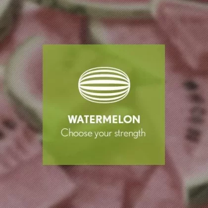 Watermelon By Blast E-Liquid 10ml - Nicotine Free