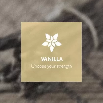 Vanilla By Blast E-Liquid 10ml - 18mg