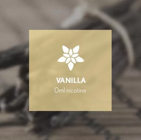 Vanilla By Blast E-Liquid 10ml - 18mg - Image 2