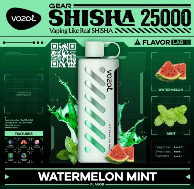 Vozol Gear Shisha DTL DISPOSABLE POD (25,00 PUFFS) - 5 mg / Blackcurrant Ice - Image 2