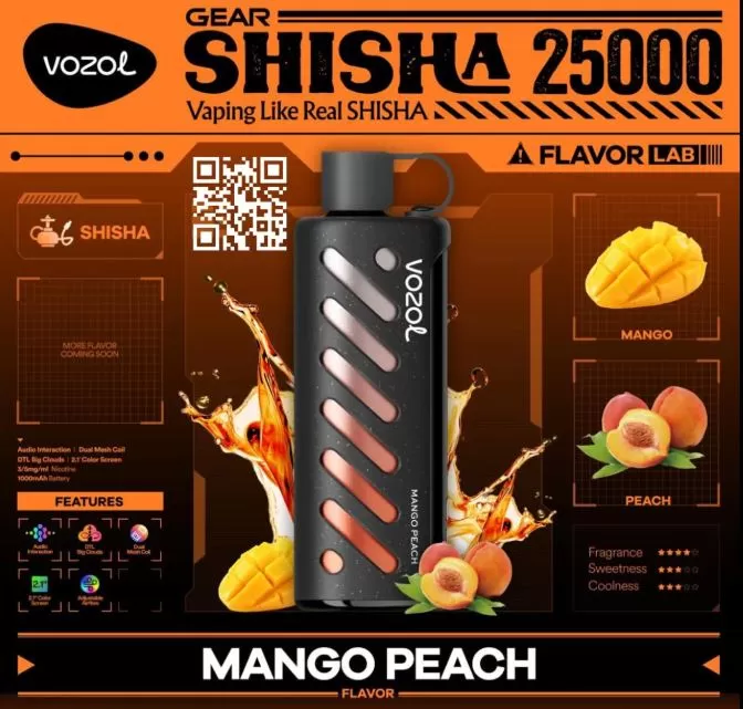Vozol Gear Shisha DTL DISPOSABLE POD (25,00 PUFFS) - 5 mg / Blackcurrant Ice - Image 3