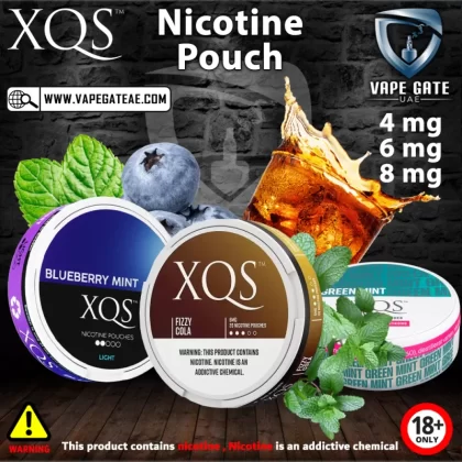 XQS Nicotine Pouches - 4 mg / Blueberry Mint